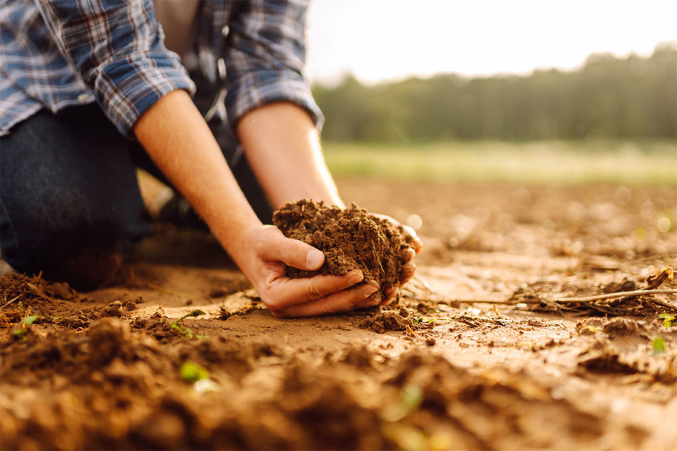 Food security projects receive seed grant money