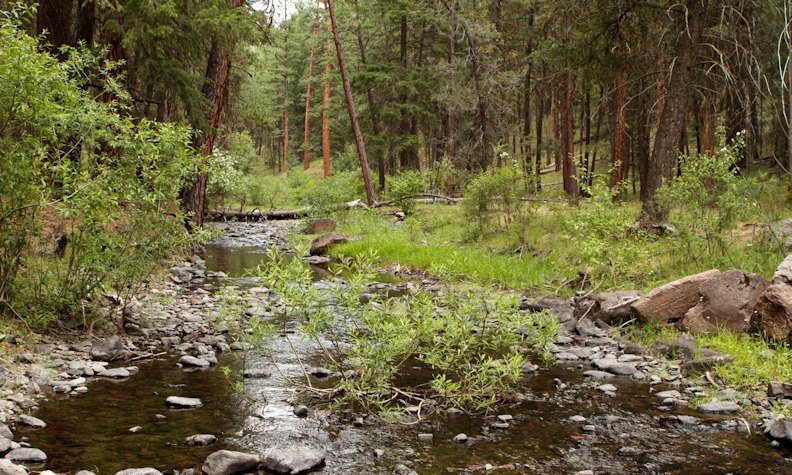 State awards $12.2 million for four Deschutes Basin water conservation, flow restoration projects