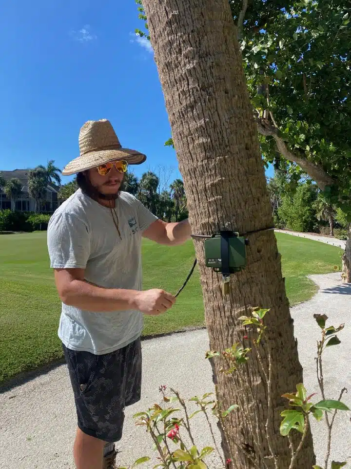 Sanibel-Captiva Conservation Foundation monitors local bat population