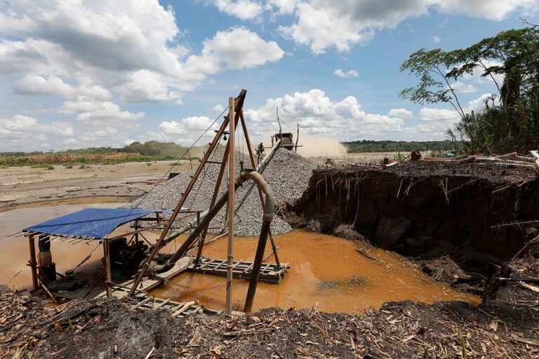 How the U.S. financial system props up illegal logging and mining