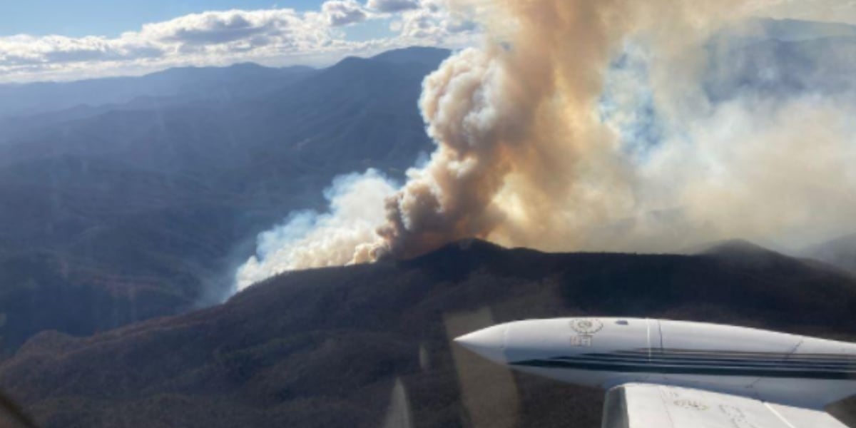 Car crash causes 150-acre fire on I-40 in Haywood Co., officials say