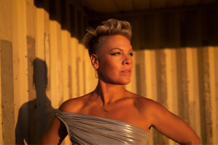 Global Pop Icon P!nk Teams Up with PEN America to Give Away 2,000 Banned Books at Florida Concerts