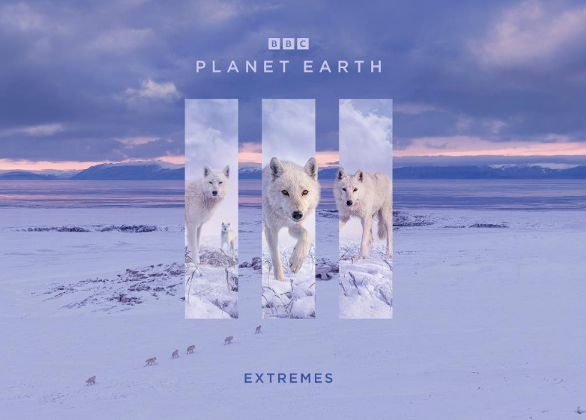 Planet Earth III Episode 6: What can we expect from the extremes episode?