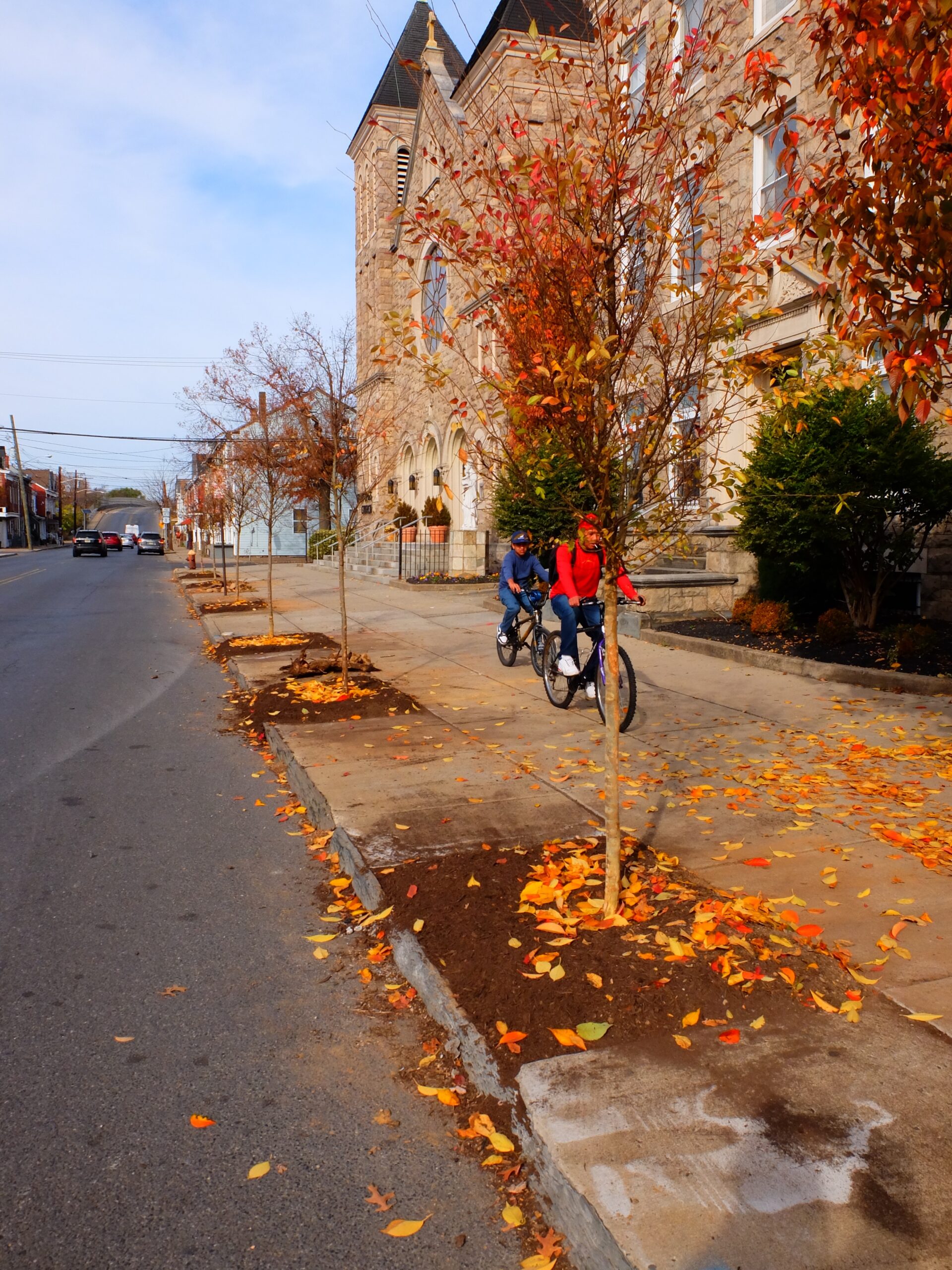 New Jersey Conservation Foundation and Partners Plant Trees in East Trenton