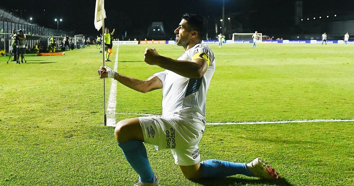 Botafogo 3 x 4 Grêmio: assista aos gols e melhores momentos do jogo pelo Brasileirão