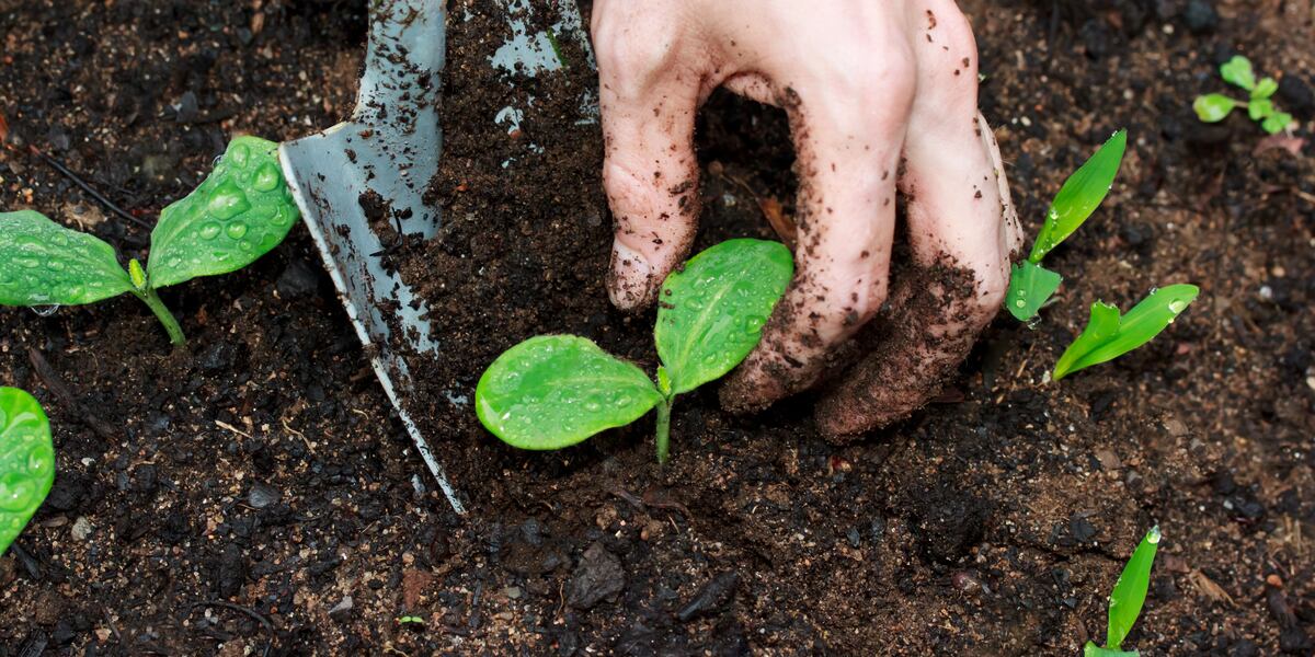 Vt., NH projects win $2M in grants for clean energy, food production