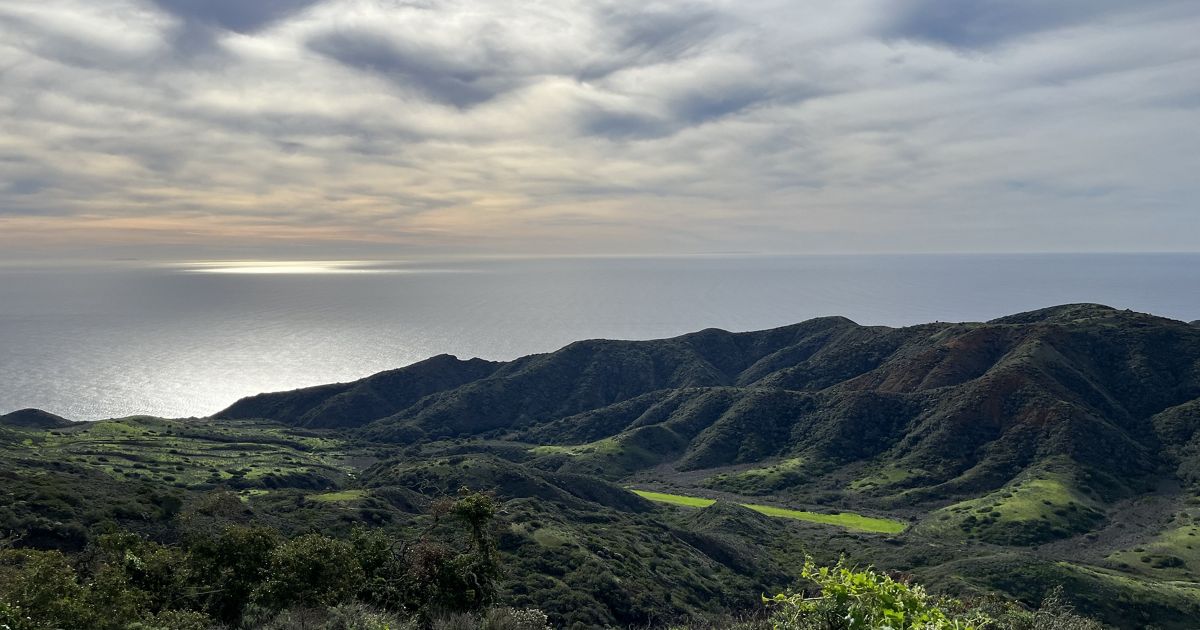 On the 50th anniversary of the Endangered Species Act, Channel Islands plant species declared fully recovered