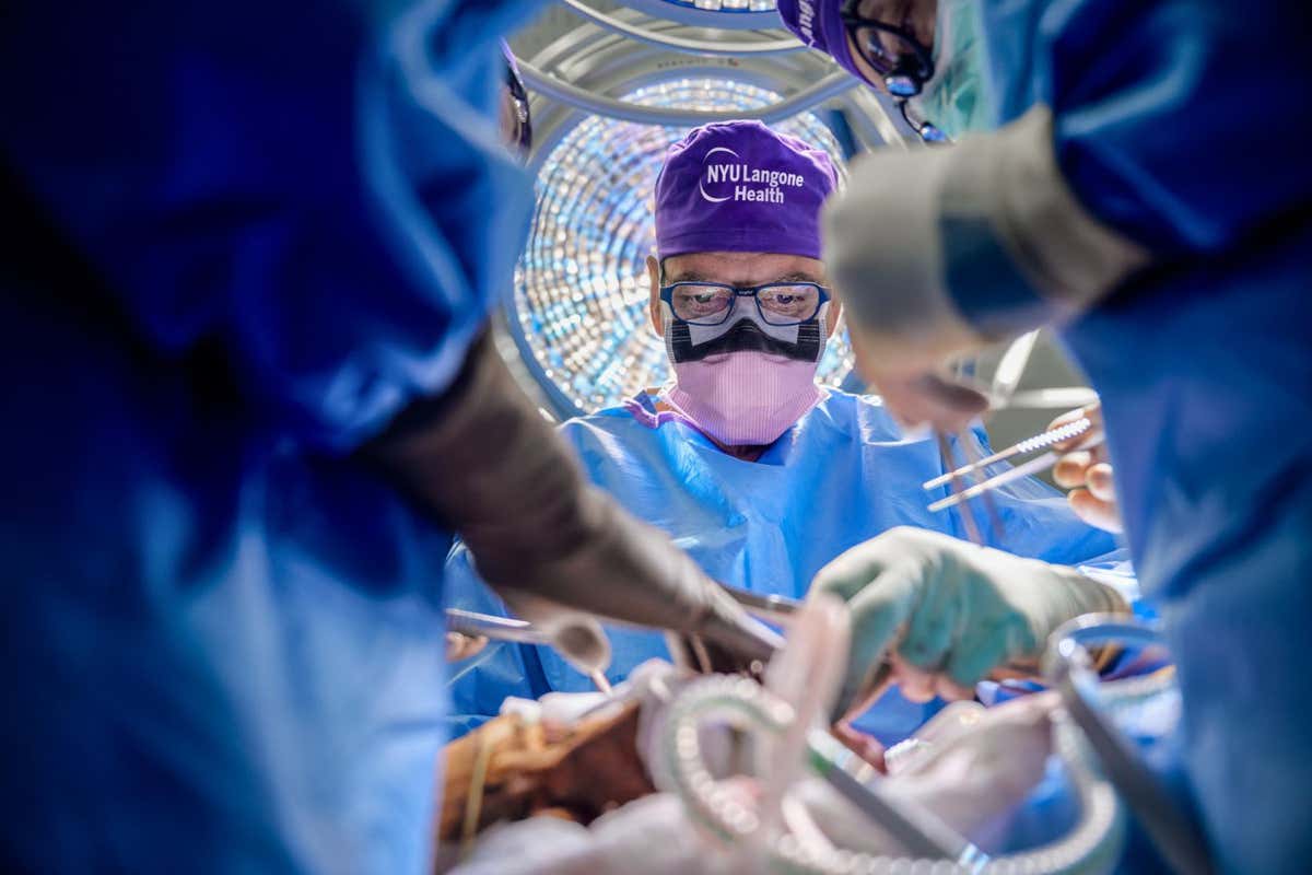 Human eyeball successfully transplanted for the first time