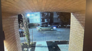 Police searching for car connected to over $10,000 of property damage