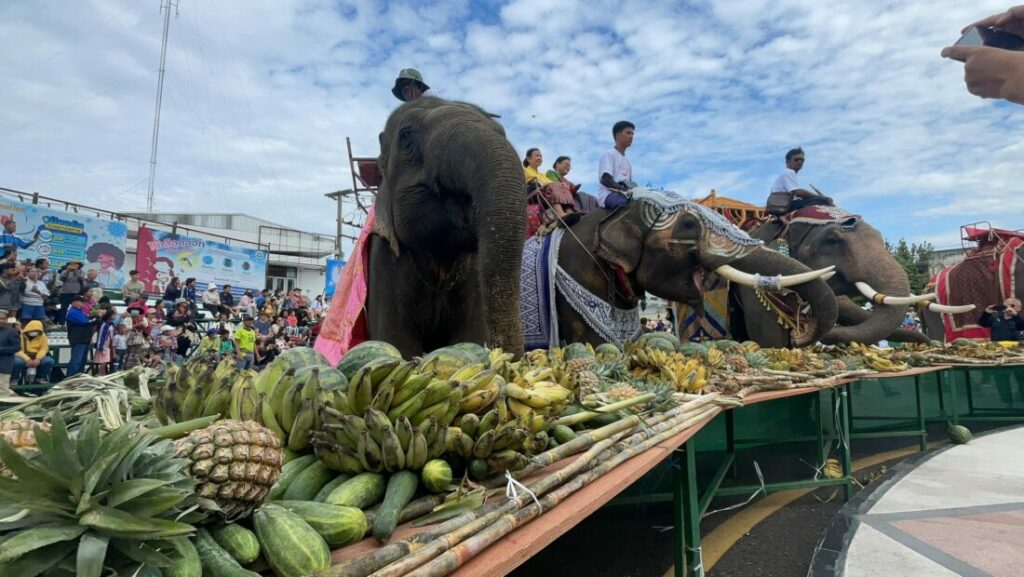 ยิ่งใหญ่หนึ่งเดียวในโลก! งานเลี้ยงอาหารช้างมากกว่า 200 เชือก