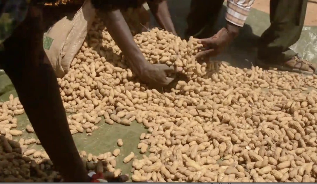 Small scale farmers received 0.3% of climate finance