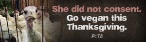 ‘She Did Not Consent’: PETA’s Vegan Thanksgiving Ad Blitz Races to Speed City