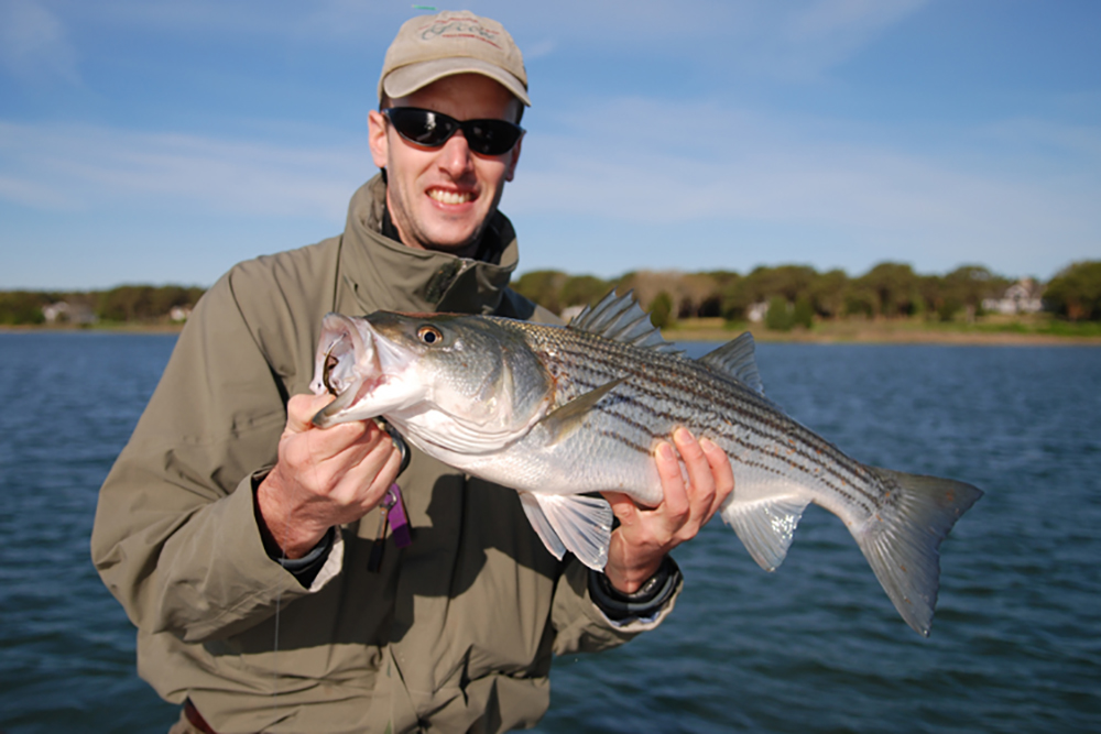 Fishery Managers Eye Changing 2024 Striped Bass Management Measures | Theodore Roosevelt Conservation Partnership