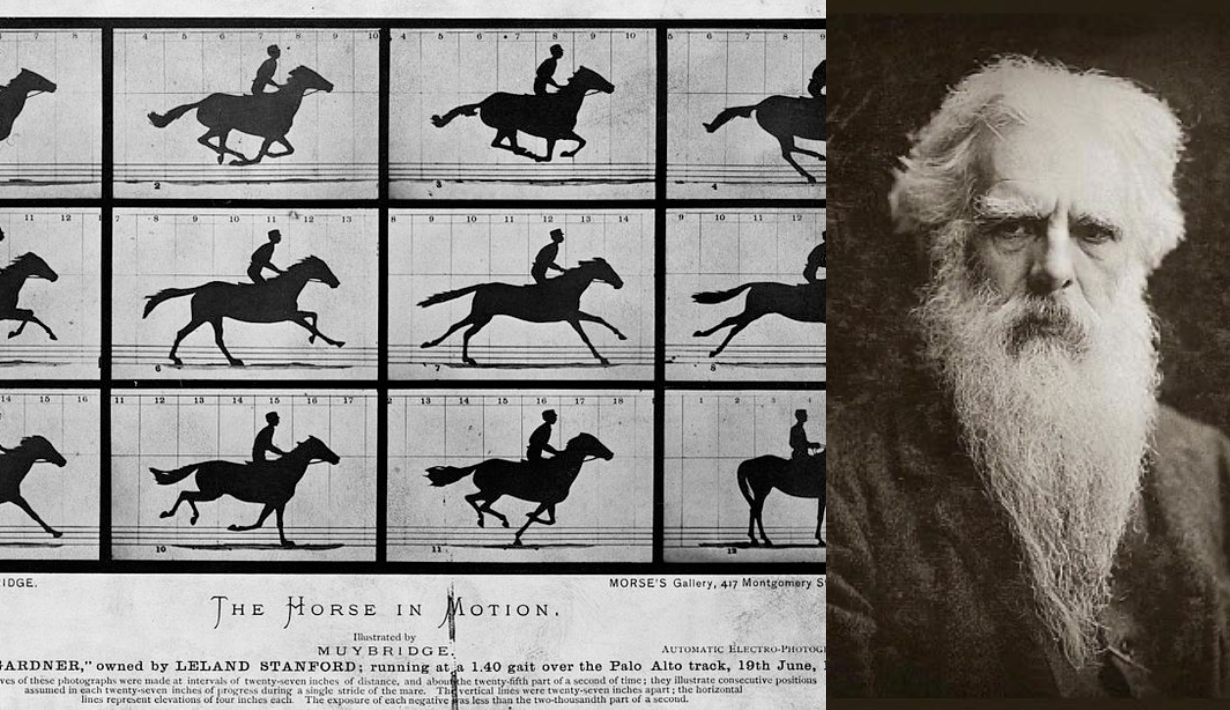 รู้จัก ‘The Galloping Horse Problem’ ภาพม้าวิ่งสุดคลาสสิก ที่นำไปสู่ภาพยนตร์เรื่องแรกของโลก