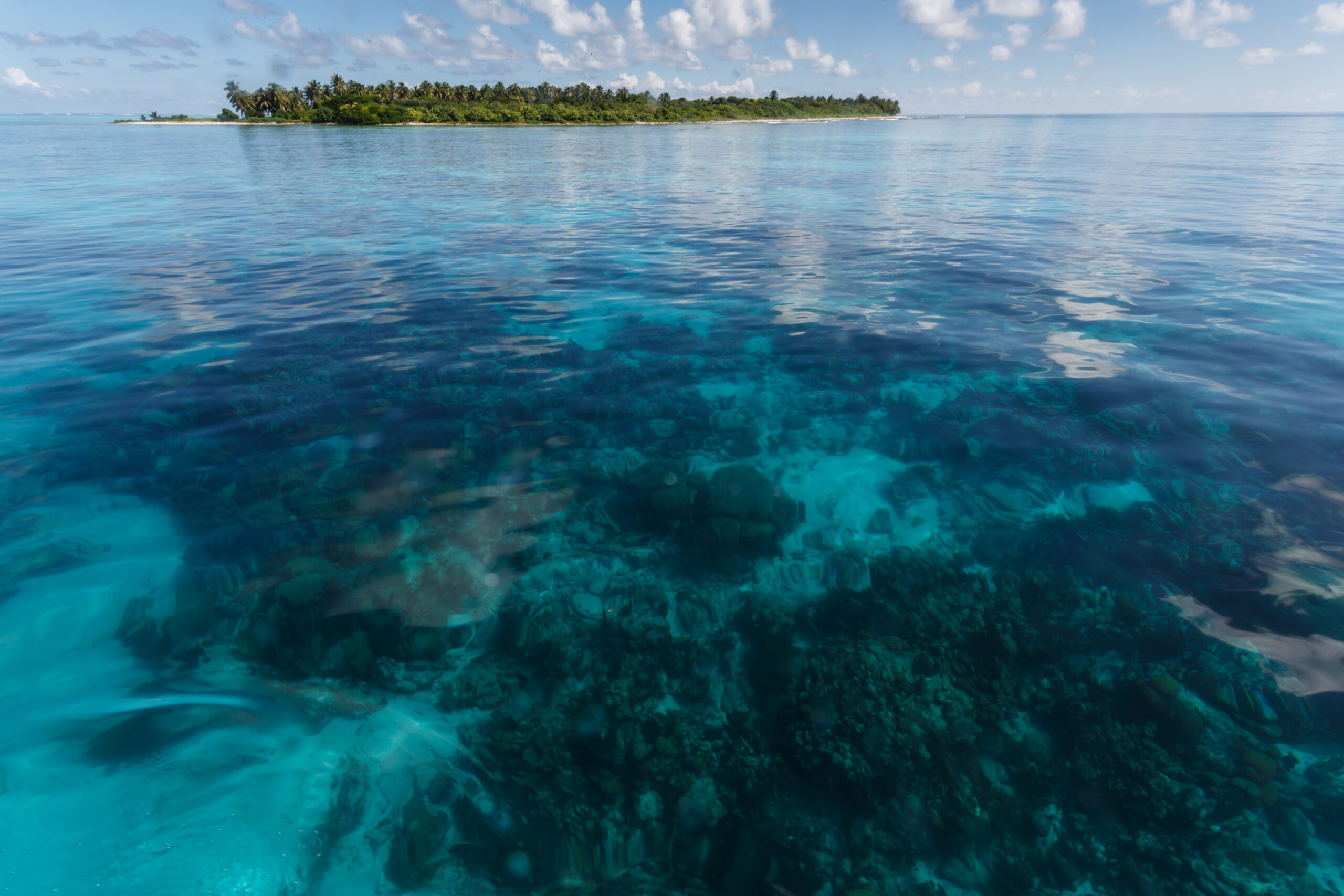 Commonwealth countries pioneer ocean-based debt-for-nature swaps