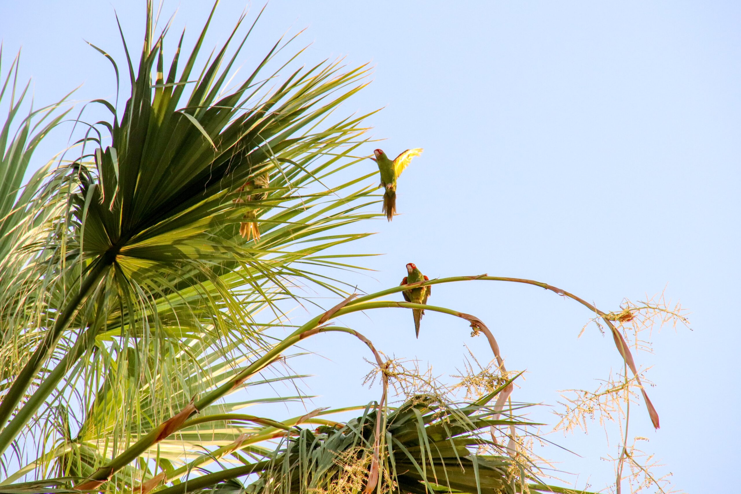 New briefing note to help countries align private and public finance with nature goals