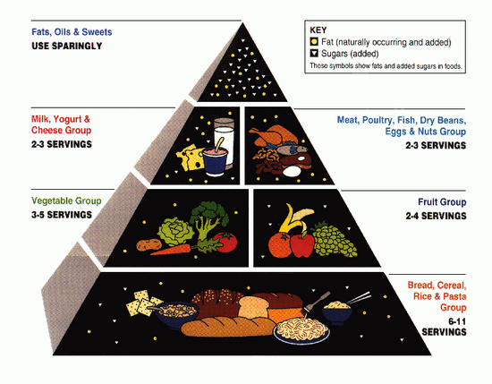 Nostalgia and nutrition: The dark forces behind the ’90s food pyramid