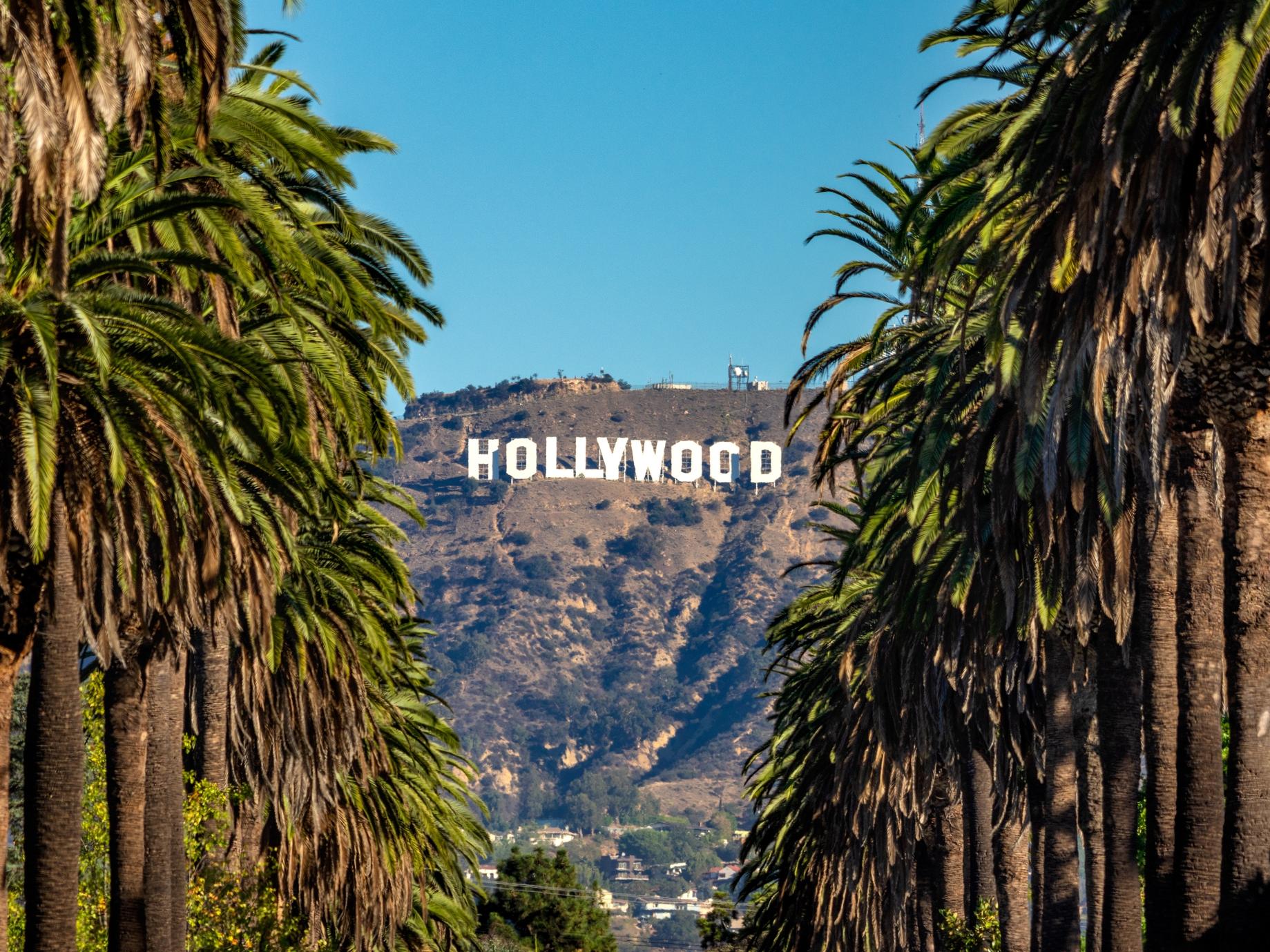 Unlock Your Hollywood Dreams: Television Academy Foundation Offers 45+ Paid Internships for College Students Nationwide in 2024