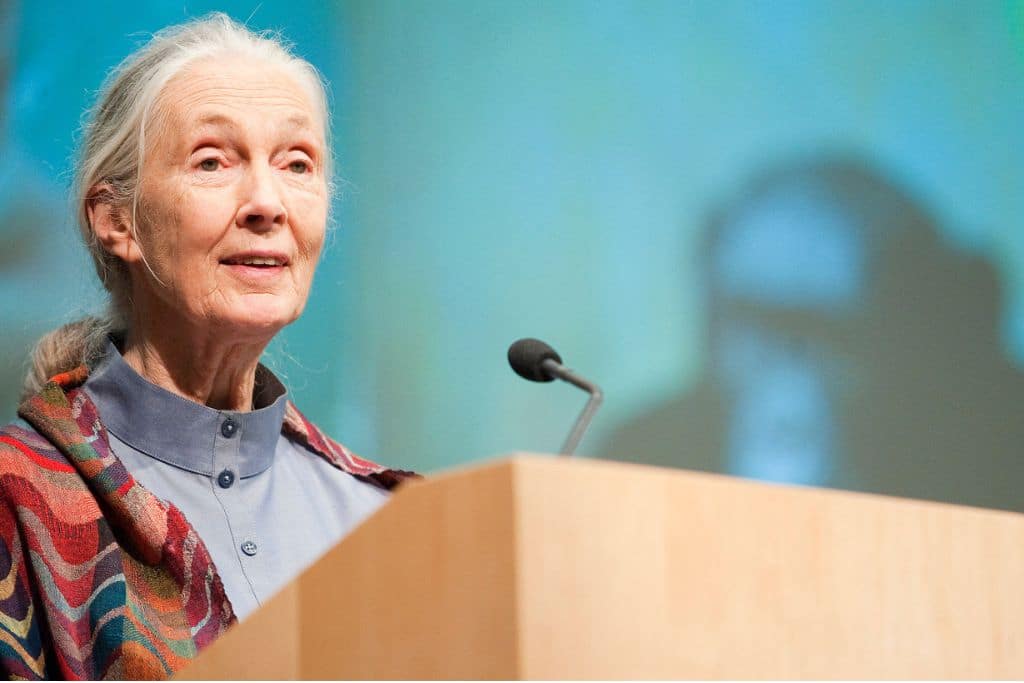 Age of Union and Jane Goodall Partner Up to Protect the Amazon Rainforest