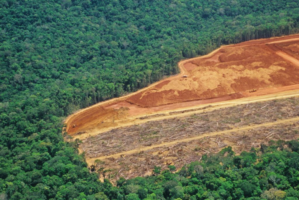 Brazil to Propose Conservation Fund for Tropical Rainforests at COP28 