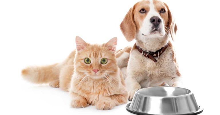 Purina webinar to address role of nutrition in palliative care