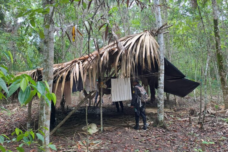 Guatemala braces for unprecedented year of deforestation in Maya reserve