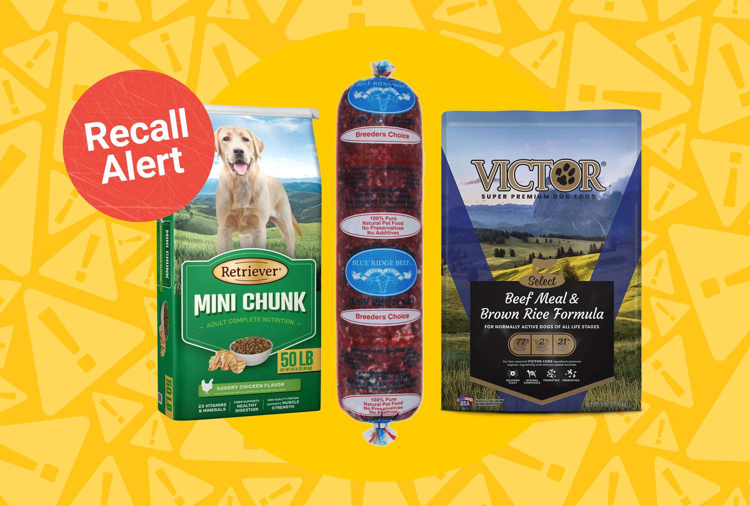 Why Are There So Many Dog Food Recalls Right Now?