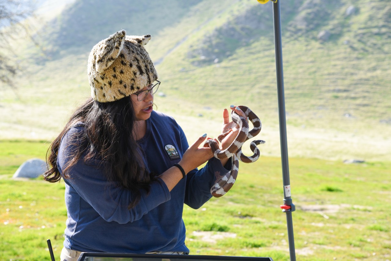 Wind Wolves Preserve invites families to participate in science and nature ‘Wild Kidz’ event