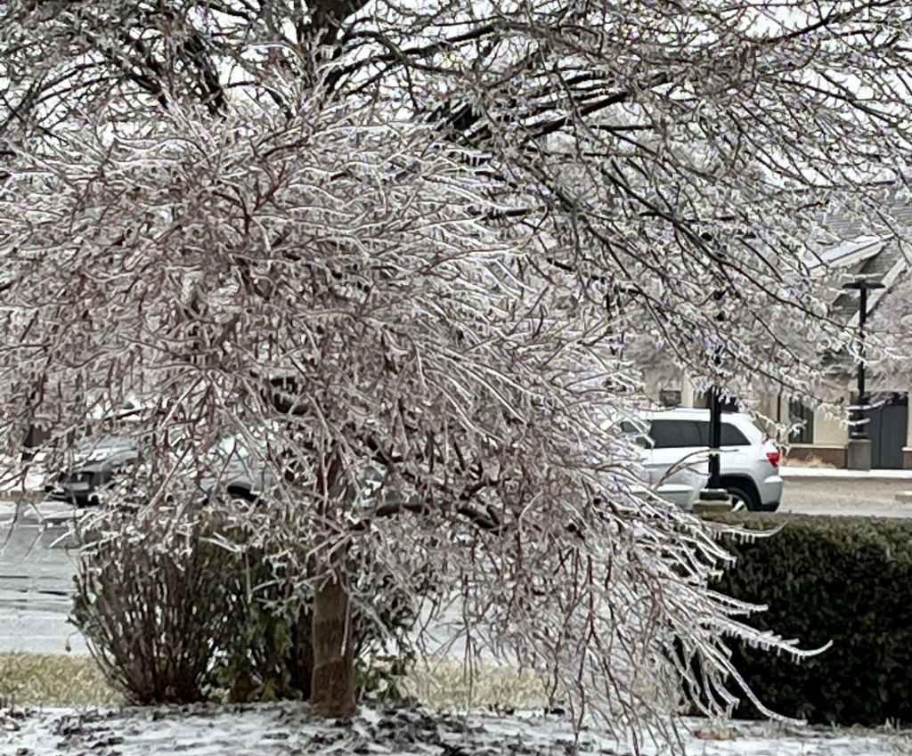 Oakland County and National Weather Service promote winter storm readiness