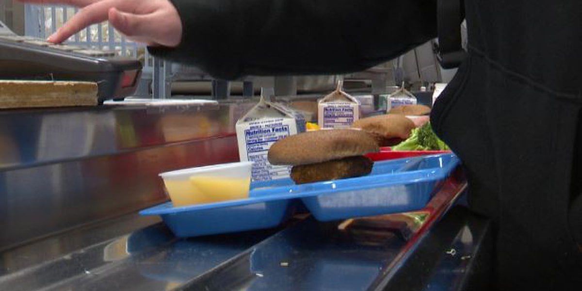 Local school districts explain health violations