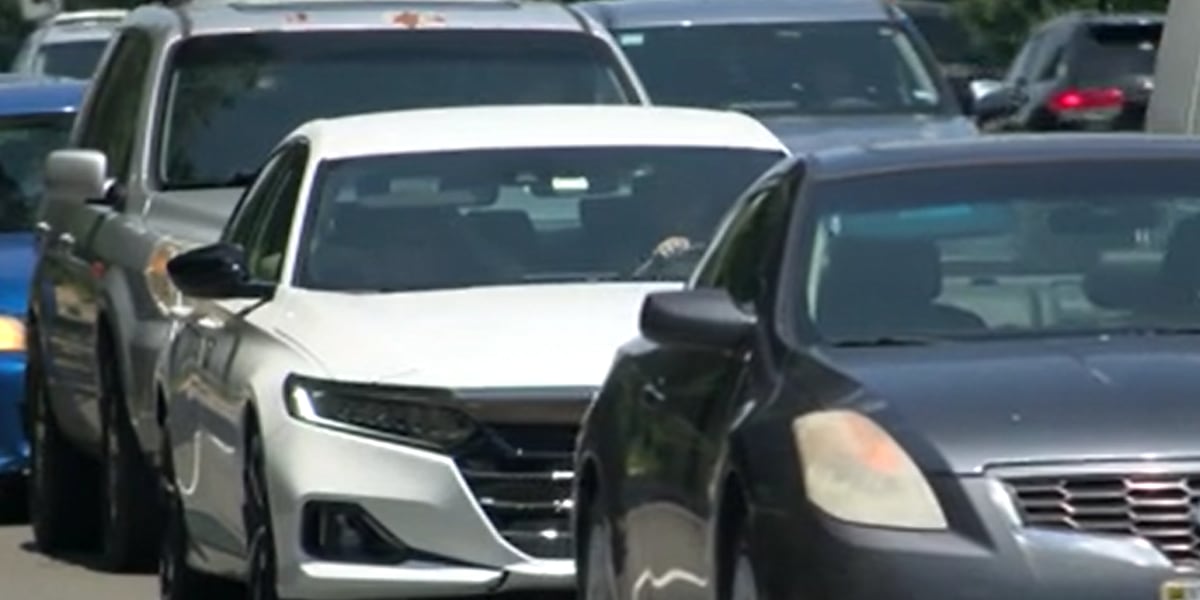 Drivers, pedestrians urged to take caution amid Thanksgiving travel