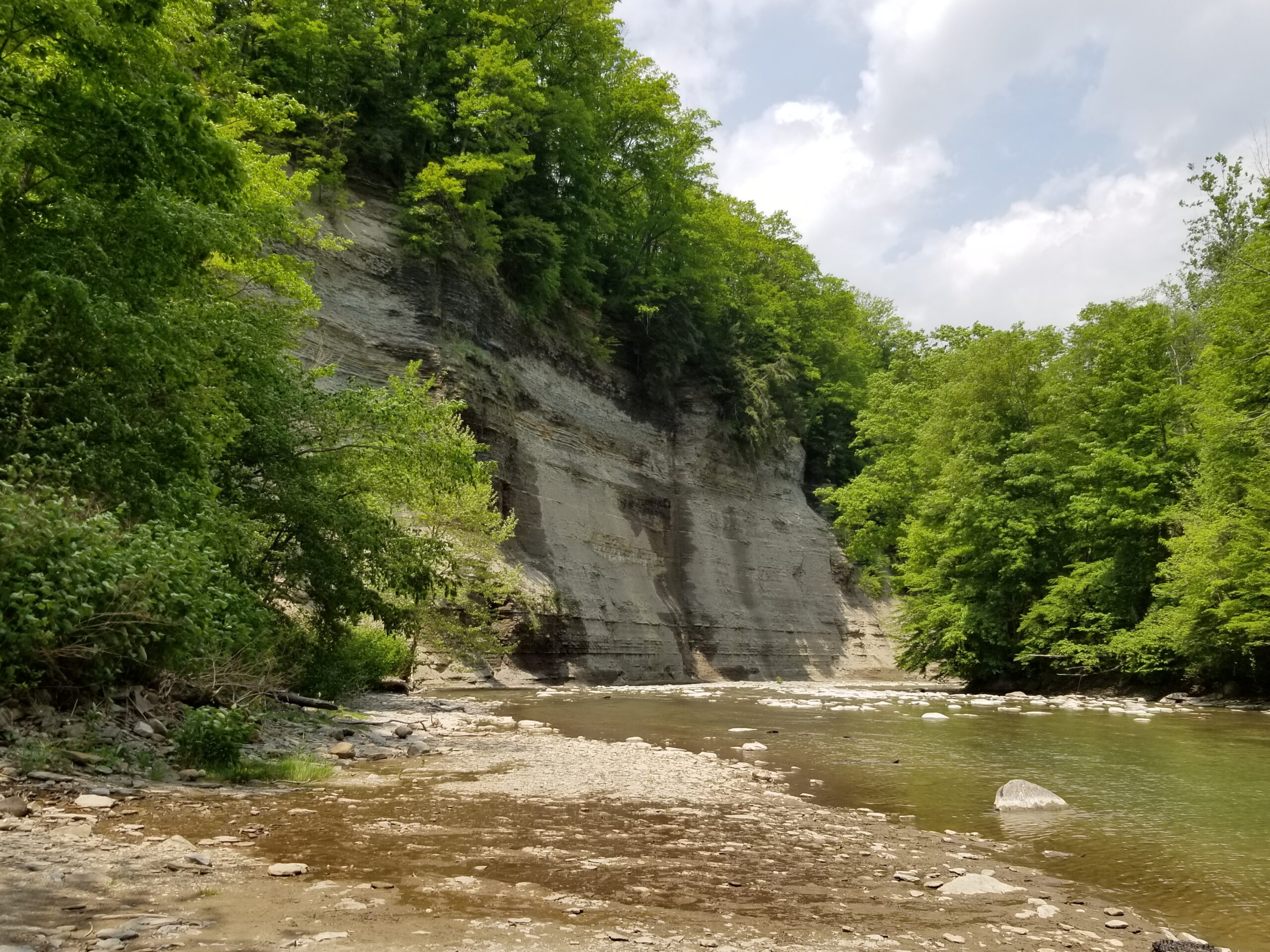 DEC announces start of construction at Zoar Valley Unique Area