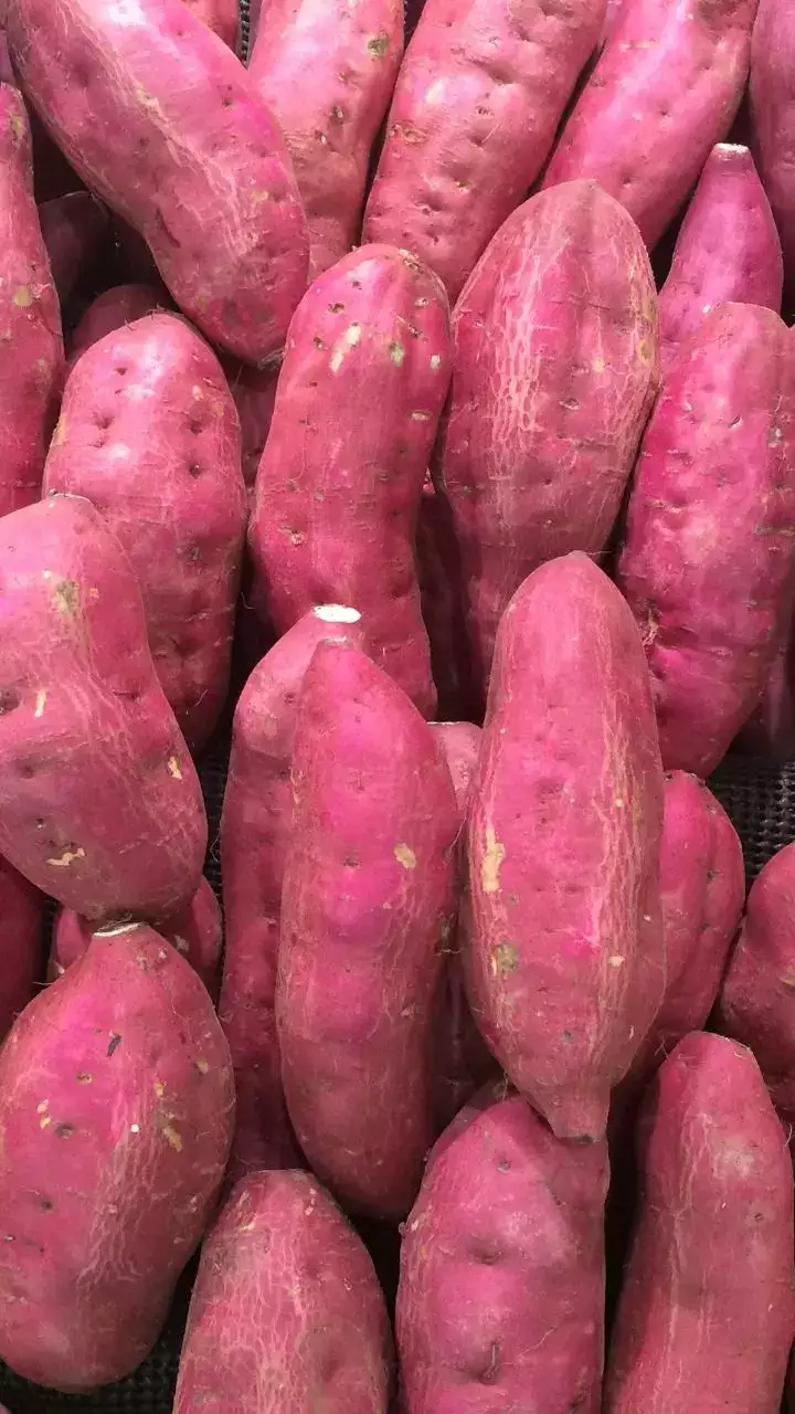 Sweet potatoes: A comprehensive guide to nature’s sweet gift