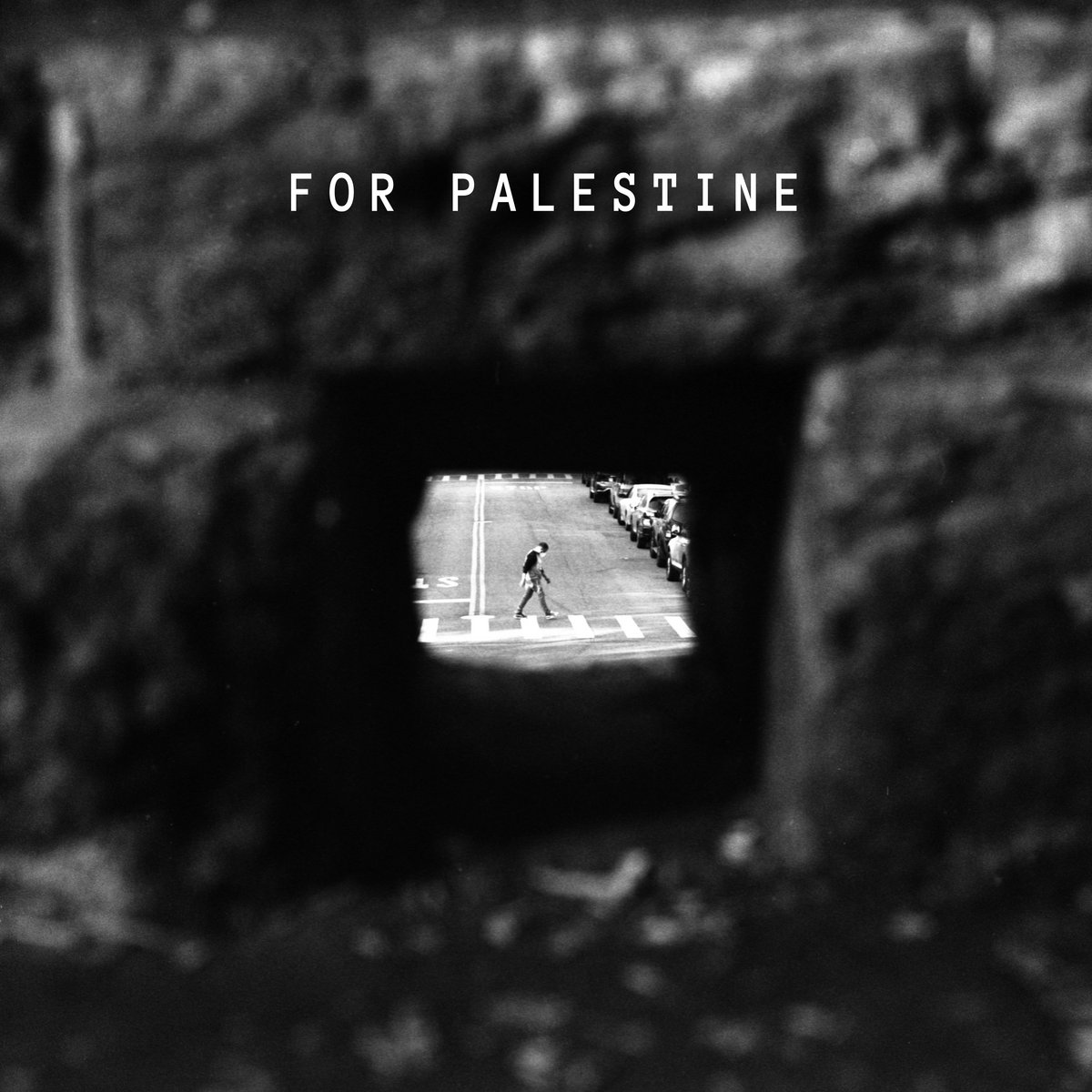 GUNK’s ‘For Palestine’ Benefit Comp Features New Music From Frankie Cosmos, Why Bonnie, & More