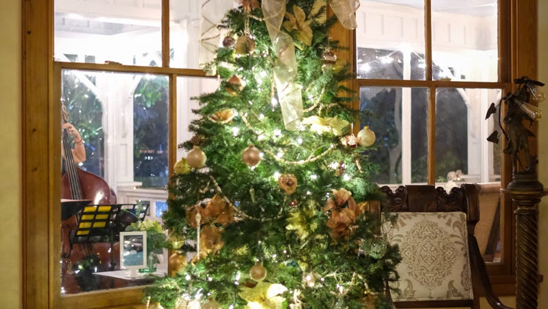 Christmas events 2023 in Gainesville: Your local guide to holiday fun