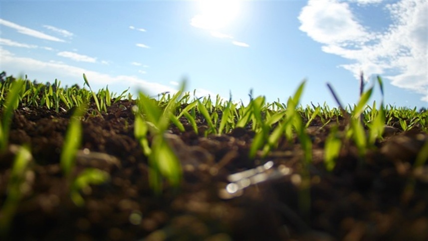 Como a tecnologia impulsiona a agricultura regenerativa