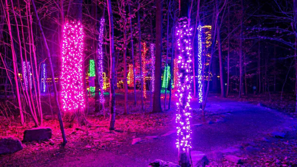 ‘It just feels magical:’ NY & VT science centers light up for the holidays