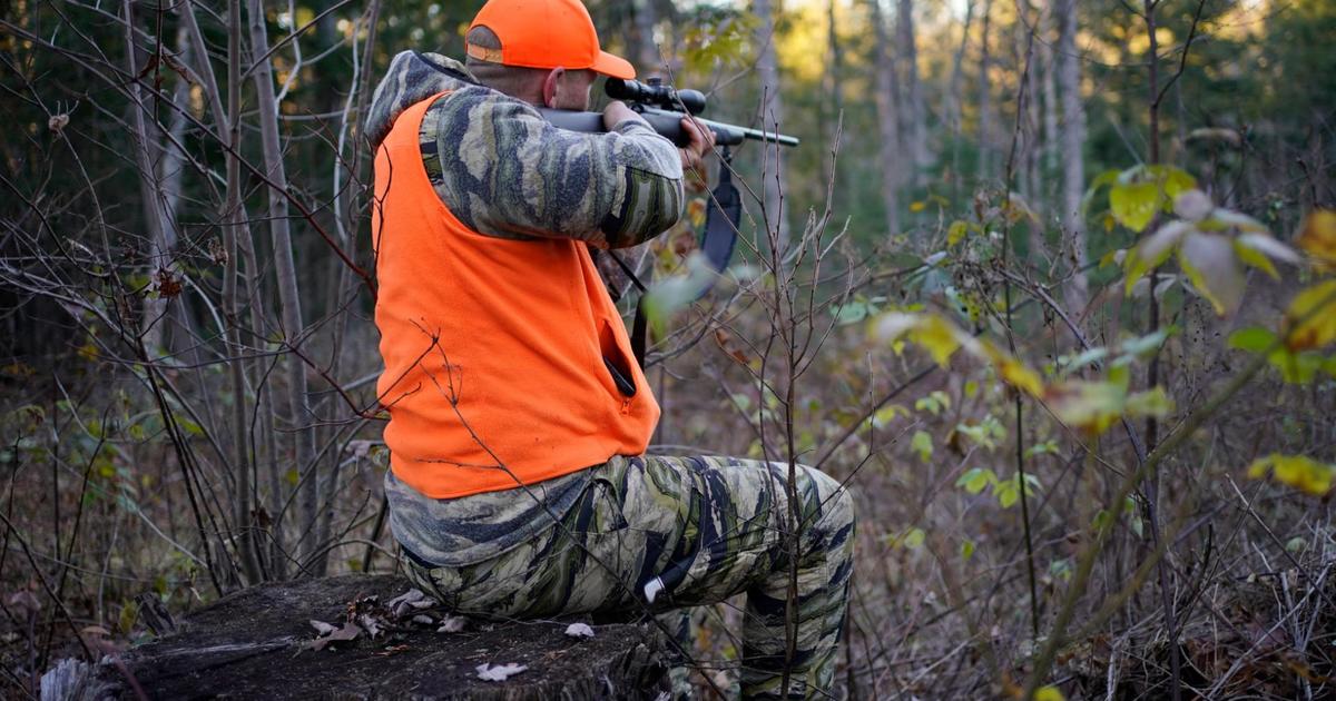 Massachusetts and Maine are last states to keep bans on Sunday hunting, but that could change