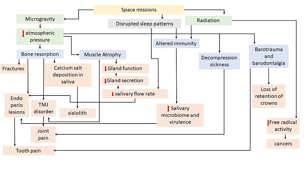 Oral Health in Zero Gravity: A Comprehensive Review of Orofacial Effects and Countermeasures in Spaceflights