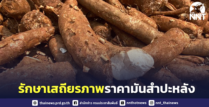 ครม.อนุมัติมาตรการรักษาเสถียรภาพราคามันสำปะหลัง ปี 256667 รวม 4 โครงการ กว่า …