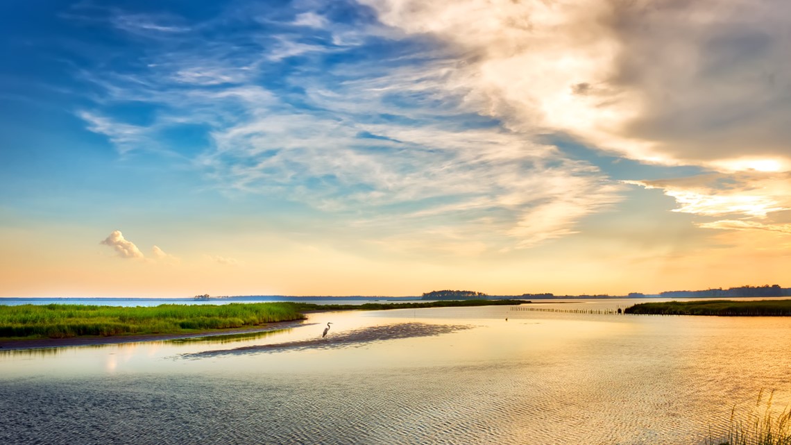 Chesapeake Bay watershed receives $7.4M in grants to conserve wildlife habitats