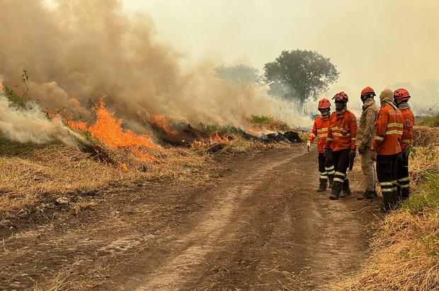 “Out of control” wildfires are ravaging Brazil’s wildlife-rich Pantanal wetlands