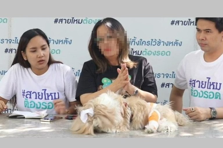 สาวร้อง”รพ.สัตว์ชื่อดัง”ทำหูน้องหมาขาดจากการอาบน้ำผิดวิธี