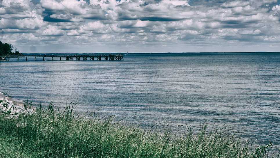 Chesapeake Bay awarded millions in federal funding for restoration projects