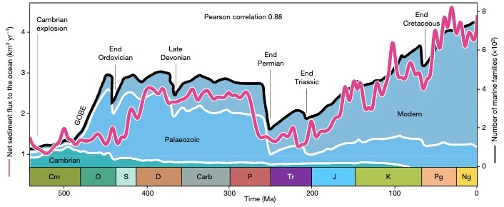 Landscape dynamics determine the evolution of biodiversity on Earth