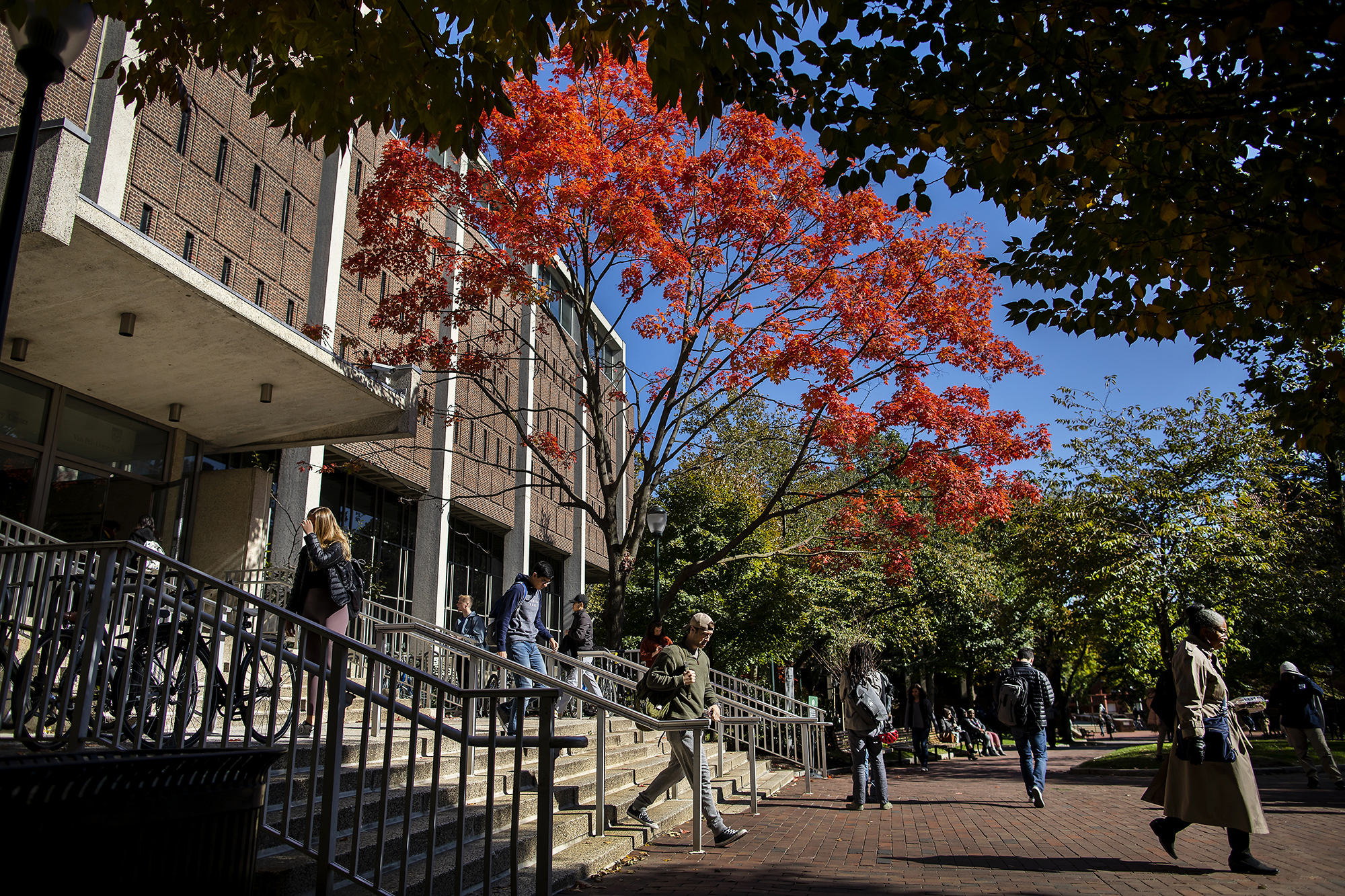 Introducing the Center for Excellence in Teaching, Learning, and Innovation
