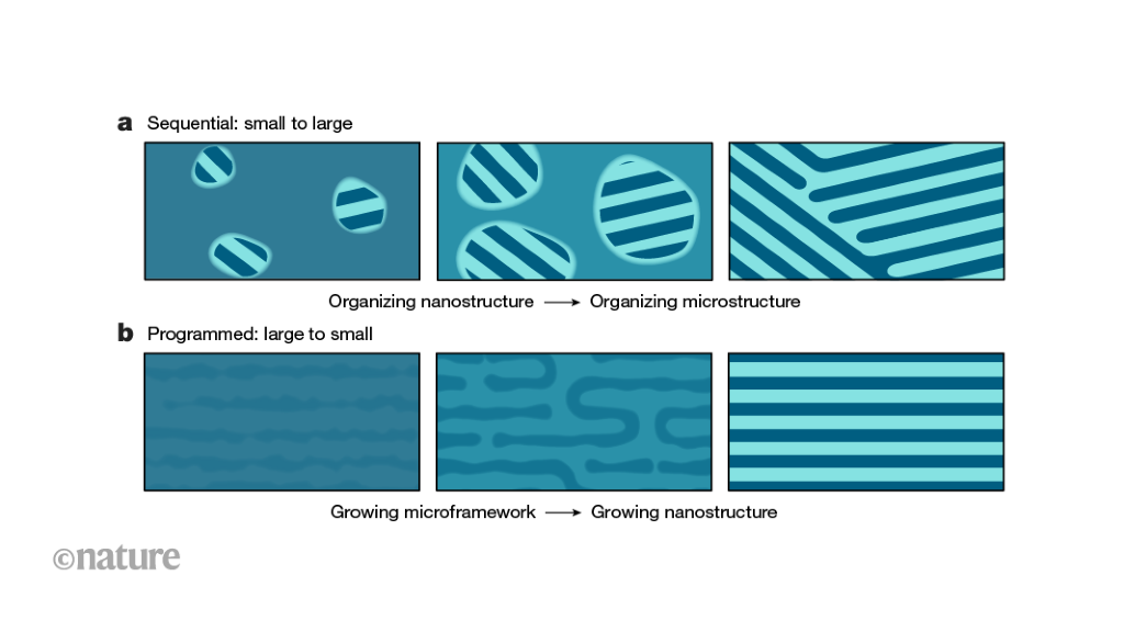 Divide and conquer: exploiting entropy to grow nanoscale barrier materials