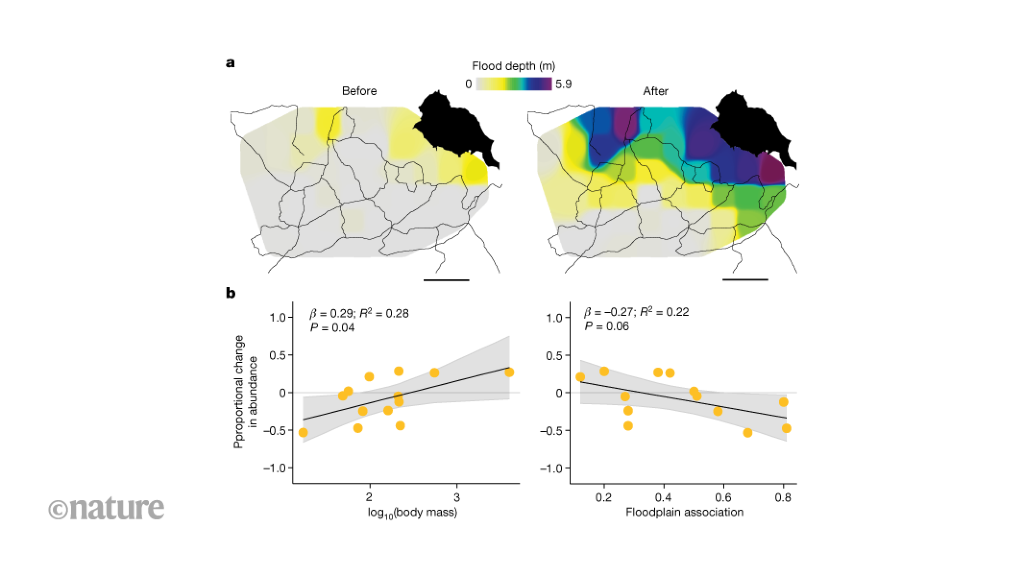 Impact of a catastrophic tropical cyclone on large African mammals