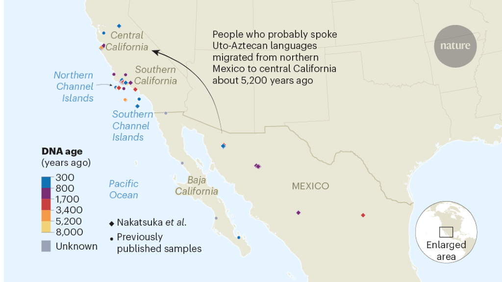 Ancient DNA uncovers past migrations in California