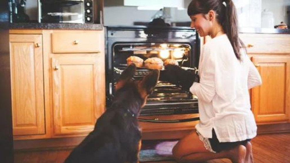 Thanksgiving food you CAN feed your dog